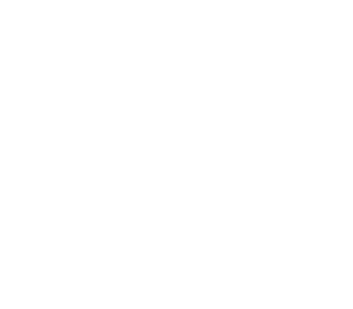 Our Brands
